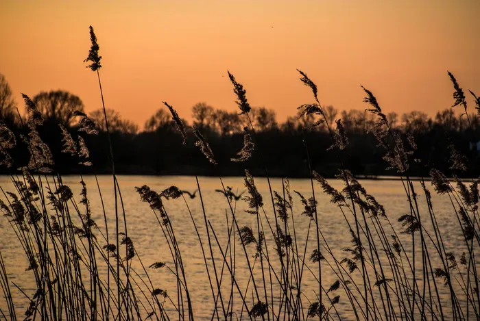 verenigde staten，比利时纽约市，lake，2017，lightroom，sunset，beauty in nature