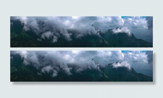 自然、户外、天气、风景、全景、景观、植被、植物