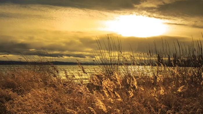 康斯坦斯湖、伊蒙斯塔德、日落、全景、自然、黎明、景观、傍晚