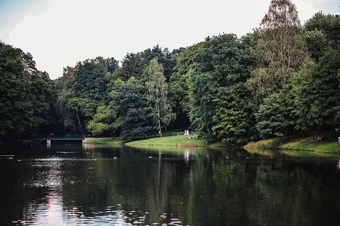 公园里阳光明媚的一天 公园里阳光明媚的一天