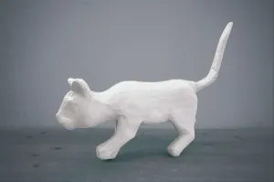 猫，石膏，猫石膏，蓝色背景，白猫，颜色，蓝色，动物