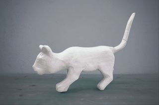 猫，石膏，猫石膏，蓝色背景，白猫，颜色，蓝色，动物