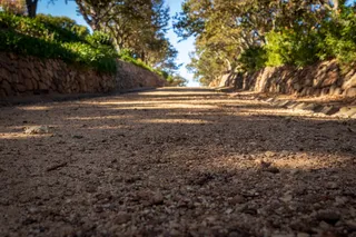 方向，前进的道路，泥土，树木，道路，递减的角度，表面水平，交通
