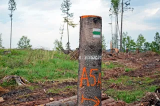 耶森尼基山脉、灾难、景观、自然、景观、采掘、木材、田野