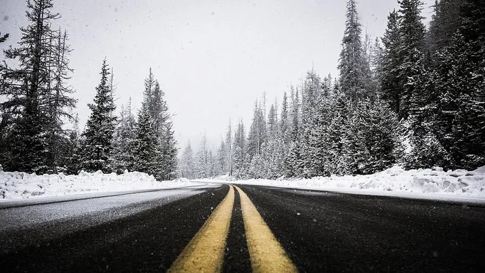道路，小径，树木，植物，自然，旅行，天空，雪