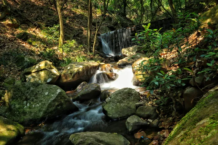 森林、流水、水、岩石、树木、瀑布、长时间暴露、风景-自然