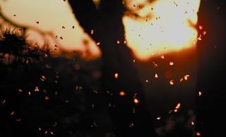 红色和白色圆点纺织品