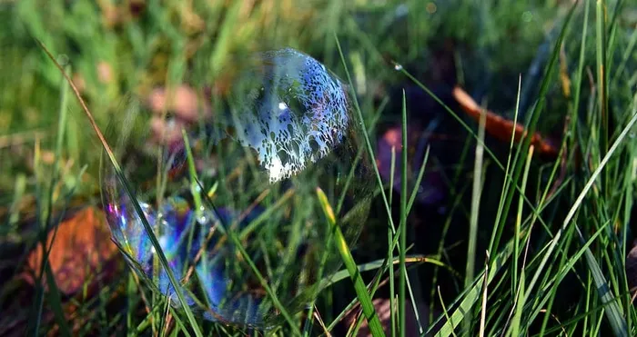 肥皂泡，草地，草，短暂的，温柔的，敏感的，脆弱的，小心的