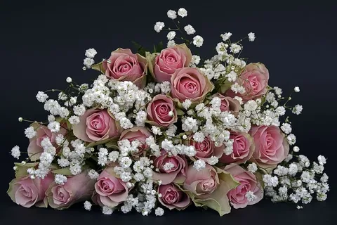 粉色,白色,花瓣插花,一串,玫瑰,玫瑰花,花朵,绞股蓝 粉色,白色,花瓣插花,一串,玫瑰,玫瑰花,花朵,绞股蓝
