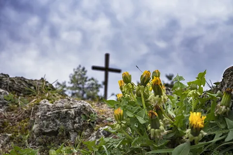 黄花、徒步旅行、蒲公英、岩石、十字架、顶峰、顶峰十字架、大自然 黄花、徒步旅行、蒲公英、岩石、十字架、顶峰、顶峰十字架、大自然