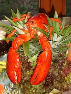 龙虾,zehnfußkrebs,动物,海洋动物,食用,食品,熟食店,美食 龙虾,zehnfußkrebs,动物,海洋动物,食用,食品,熟食店,美食