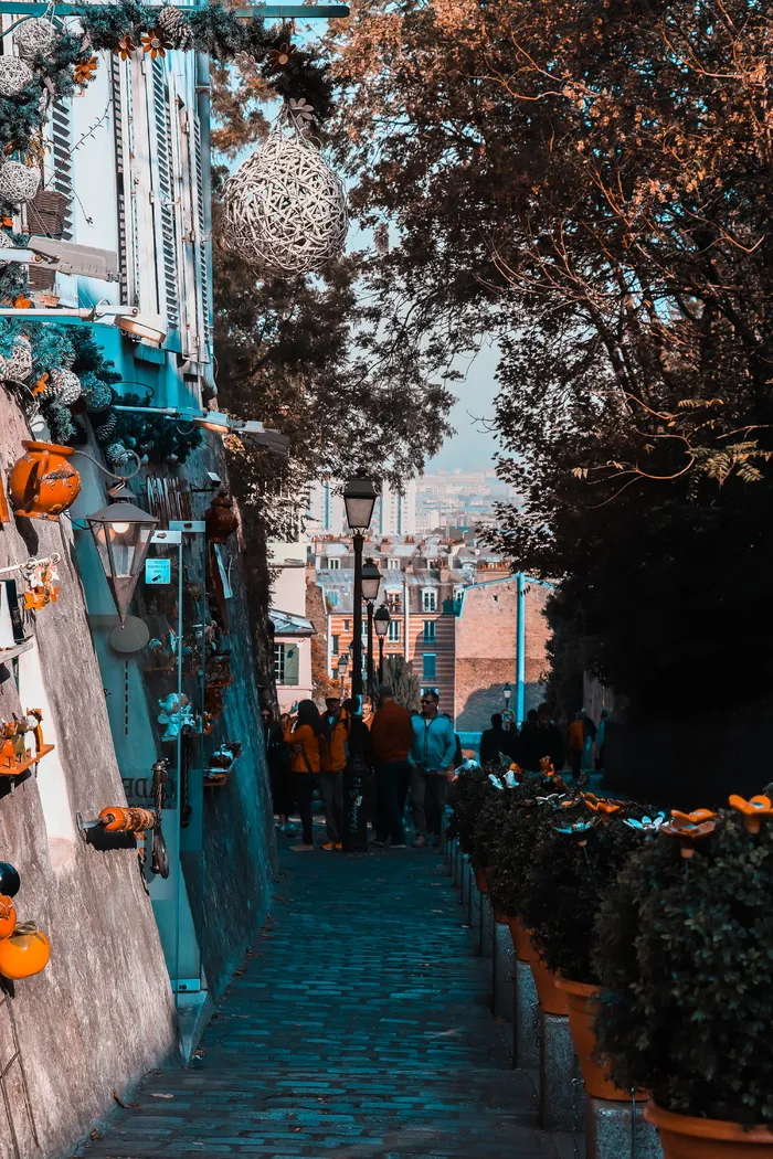 人，人，巴黎，小路，蒙马特，法国，行人，树