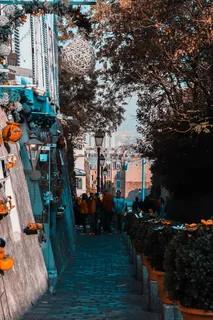 人，人，巴黎，小路，蒙马特，法国，行人，树