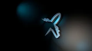 翅膀，硬，很快，室内，照明，工作室拍摄，没有人，黑色背景