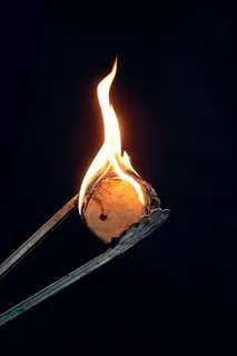 火，火焰，篝火，木头，肉，厨师，碳，烧烤