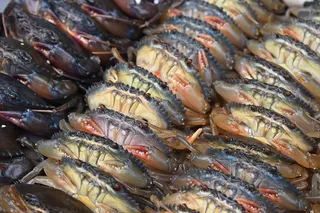 生螃蟹的平面摄影