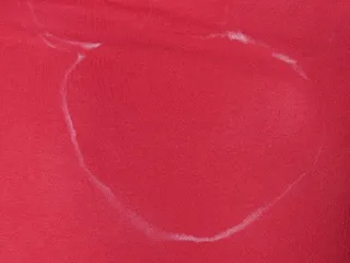 盐边距, T 恤, 出汗, 运动, 运行, 盐, 蒸腾, 服装