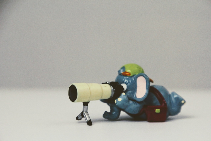 überraschungseifigur, 孤立, 甜, 象, 摄影师, 图, 变焦镜头, 镜头