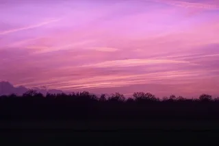 剪影照片，树木，紫色，红色，天空，日落，剪影，金色