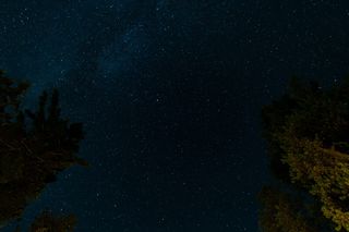 夜空蓝星下绿树