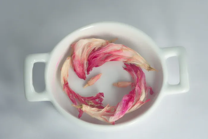 食品和饮料，室内，食品，正上方，新鲜，饮料，餐桌，点心