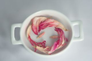 食品和饮料，室内，食品，正上方，新鲜，饮料，餐桌，点心