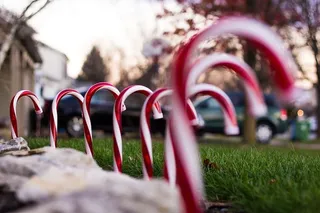 风景，自然，街道，田野，模糊，糖果手杖，庆祝，圣诞节
