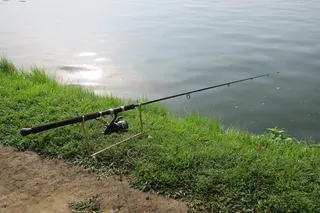 钓鱼杆，钓鱼，爱好，休闲，捕鱼，卷轴，夏天，垂钓者