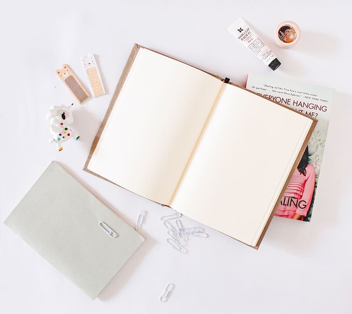 墨西哥、书籍、flatlay、独角兽、笔记本、女性、模型、办公室