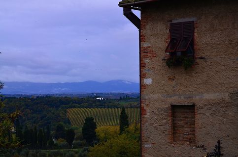 房屋、雾、树、山、意大利、湿度、自然、树木