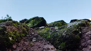 山、苔藓、木材、仿酸、仿酸、荒地、自然、玻璃