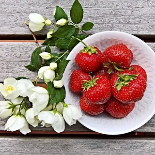 红色、白色、陶瓷色、碗状、草莓、水果、成熟、大型 红色、白色、陶瓷色、碗状、草莓、水果、成熟、大型