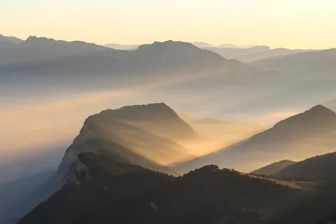 森林鸟瞰图 森林鸟瞰图