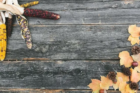 秋季木材纹理照片 秋季木材纹理照片