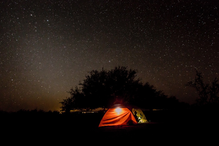 帐篷里有光明、黑暗、黑夜、天空、星星、树木、植物、大自然