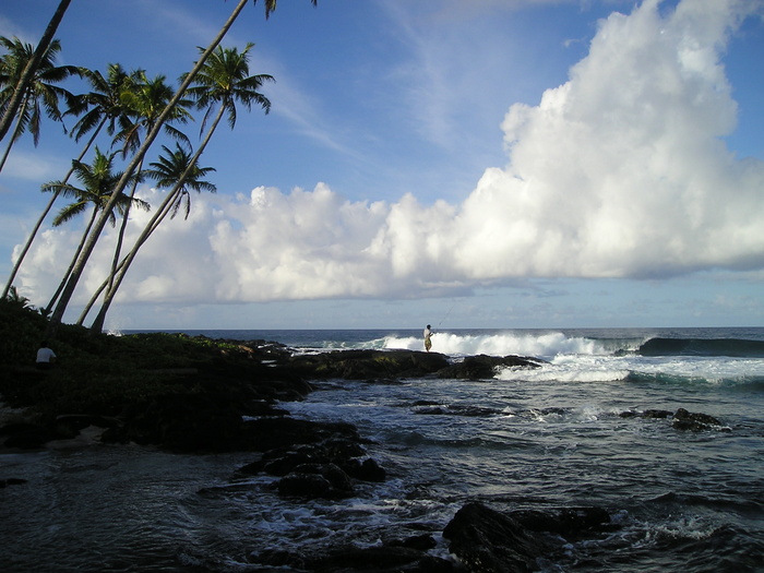 海浪，飞溅，岩石，棕榈树，大海，海滩，海岸，菲舍尔