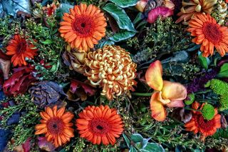 花束，鲜花，布置，花束，装饰，色彩鲜艳，充满活力，植物