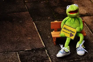 慕尼黑，巴伐利亚，大都会，克米特，青蛙，软玩具，搞笑，盾牌