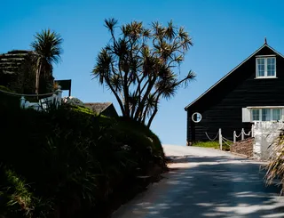 英国，金斯布里奇，伯格岛，树，植物，植物，树木，港口