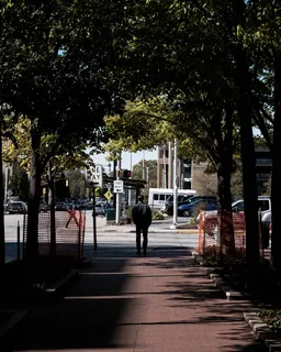 站在树旁的人 站在树旁的人