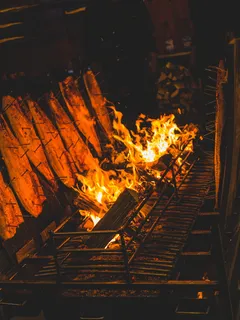 火,火焰,篝火,烧烤,燃烧的鲑鱼,明火,火焰,烤架 火,火焰,篝火,烧烤,燃烧的鲑鱼,明火,火焰,烤架
