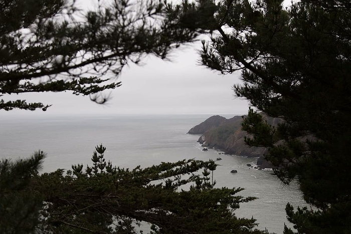 平静，身体，水，树木，植物，自然，高地，风景