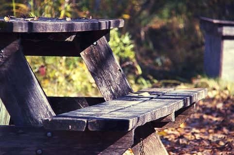 树木，福勒斯特，公园，野餐桌，秋天，秋天，长凳，城市公园