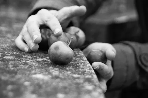 手指,人,人,俄罗斯,圣彼得堡,植物,食物,鸡蛋 手指,人,人,俄罗斯,圣彼得堡,植物,食物,鸡蛋