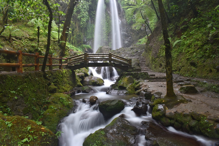 瀑布、瀑布、小溪、溪流、风景、自然、水、树