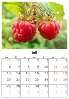 日历,月份,2015年7月,红色,水果,健康饮食,特写 日历,月份,2015年7月,红色,水果,健康饮食,特写