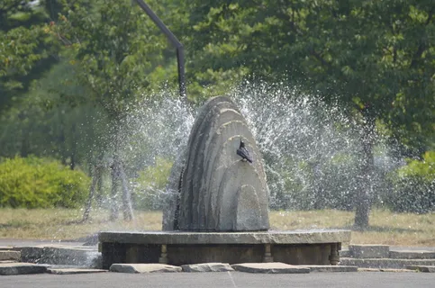 喷泉、公园、水、喷雾、夏季、自然、白天、喷雾