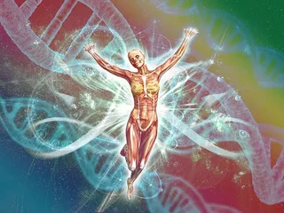 人类，生物学，身体，dna，物理学，遗传学，研究，科学
