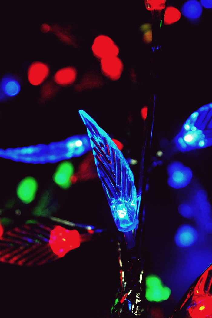 灯，蓝色，红色，设计，黑色，绿色，符号，图标