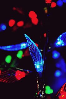 灯，蓝色，红色，设计，黑色，绿色，符号，图标